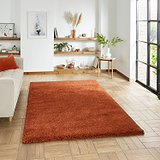 Roswell Terracotta Stain Resistant Shaggy Rug for living room
