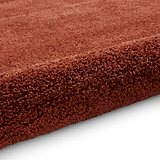 Roswell Terracotta Stain Resistant Shaggy Rug for living room