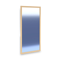 Towan Mirror from Roseland Furniture