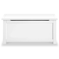 A white wooden coffee table with a rectangular top and a lower shelf, isolated against a white background.