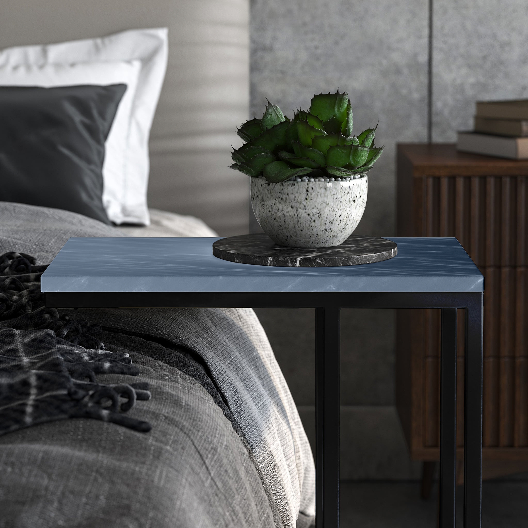 A succulent plant in a speckled pot sits atop a modern side table next to a sofa with a gray throw and pillows, in a contemporary living room setting.