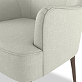 Todd Silk Accent Chair for Living Room or Bedroom