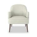 Todd Silk Statement Chair for Living Room or Bedroom