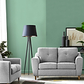 Justin Silver 2 Seater Sofa for living room