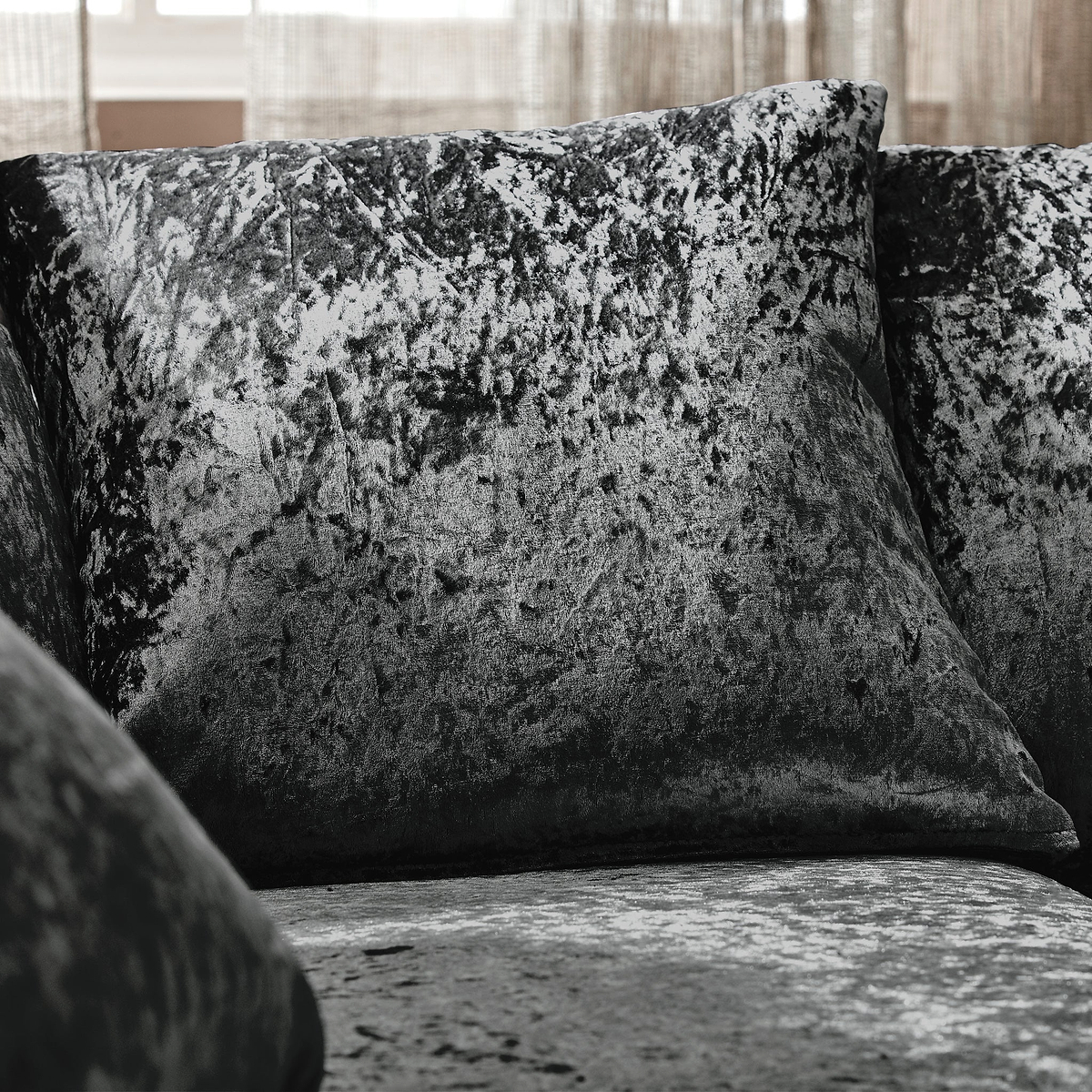 Velvety black and grey cushions rest on a sofa, contrasting with the softly-lit, sheer-curtained window in the background.