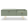 Moreno Olive Green 2 Drawer TV Console Unit with Gold Hairpin legs from Roseland Furniture