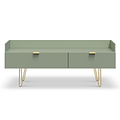 Moreno Olive Green 2 Drawer Media Console Unit with gold hairpin legs from Roseland Furniture