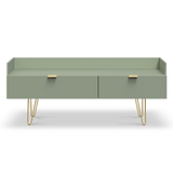 Moreno Olive Green 2 Drawer Media Console Unit with gold hairpin legs from Roseland Furniture