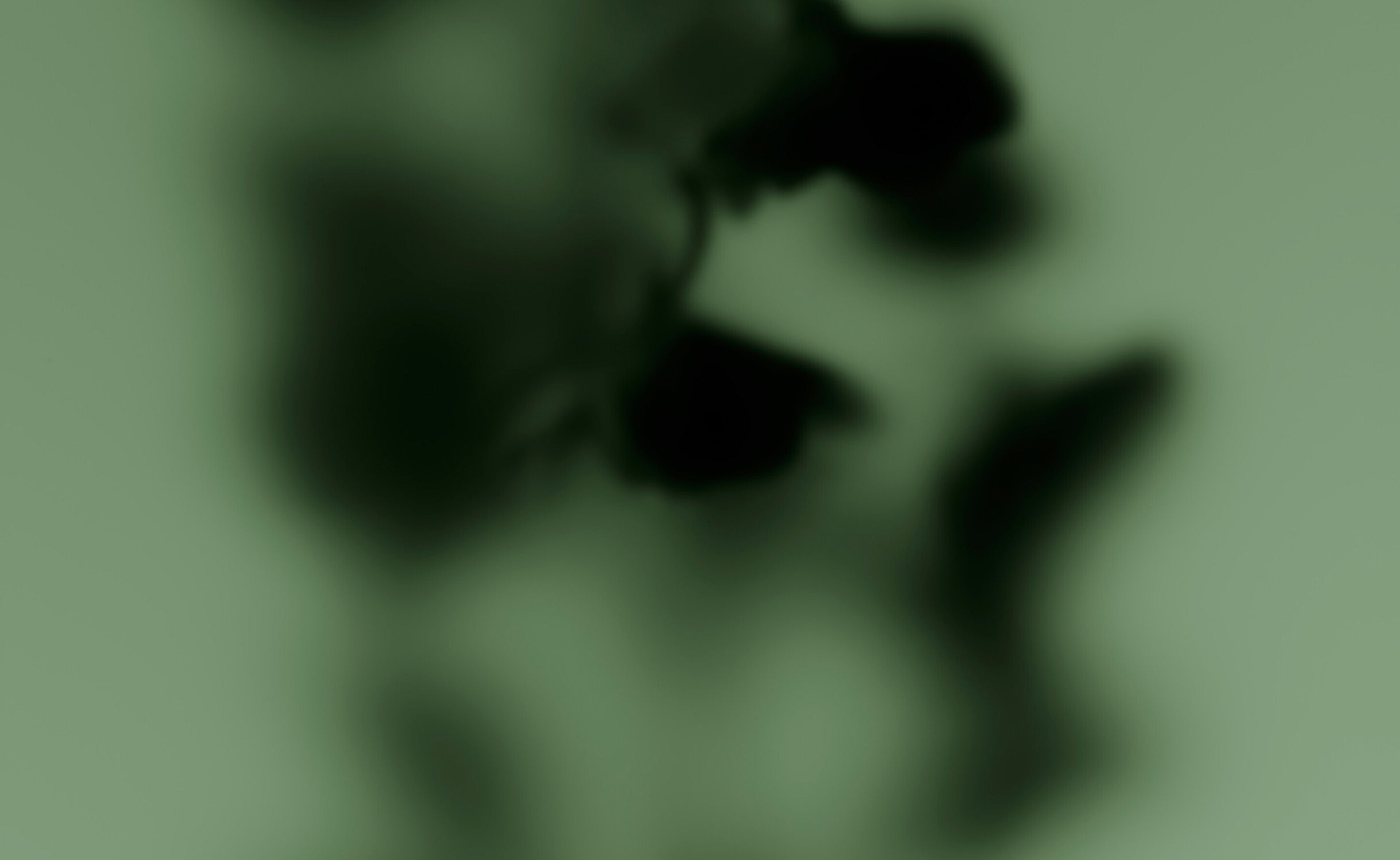 M+ Clary Sage