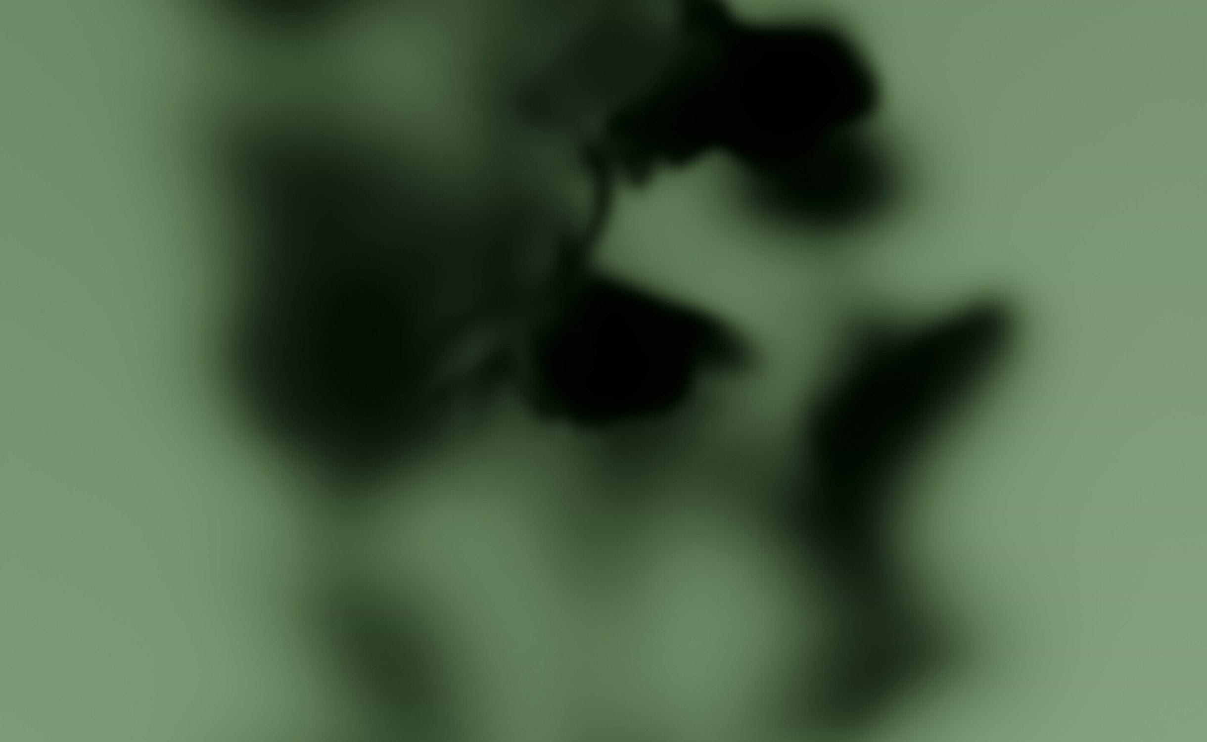 M+ Clary Sage