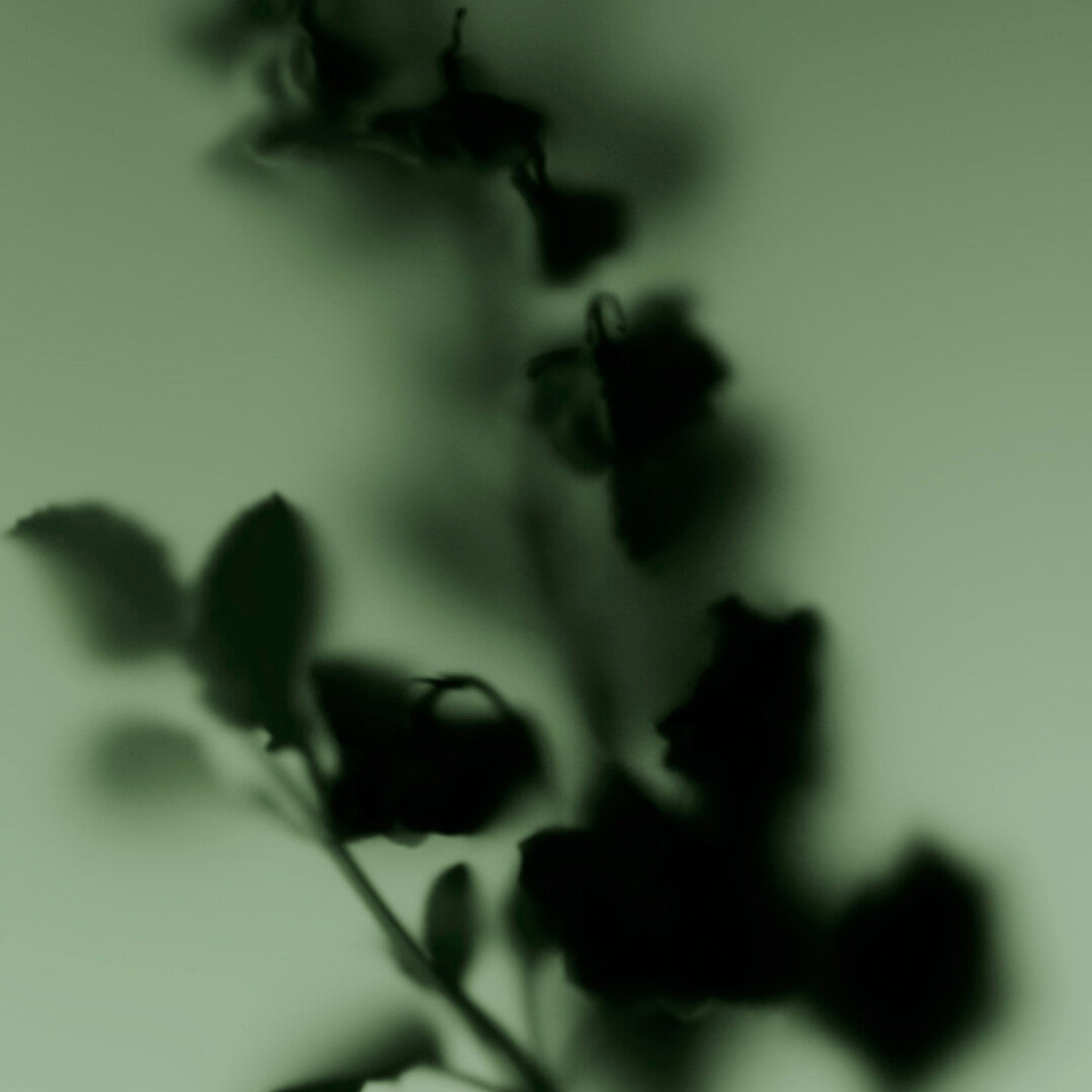 Molecule 01 + Clary Sage