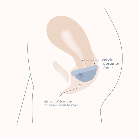 Period Sex Chart