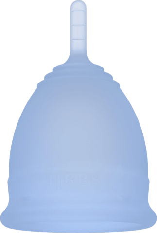Regular Saalt Cup