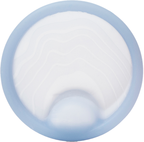Regular Saalt disc