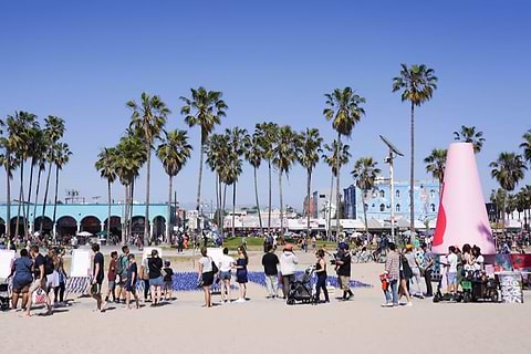 People on Venice beach
