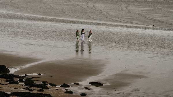 Three people walking together across wet sand on a quiet beach.