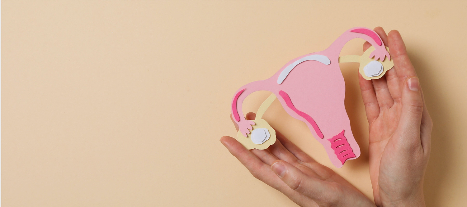 Hands holding a paper cutout model of a uterus and ovaries against a beige background.