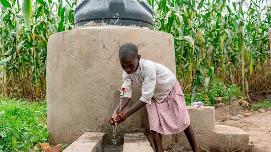 Child washing hands at an outdoor water station beside a cornfield.