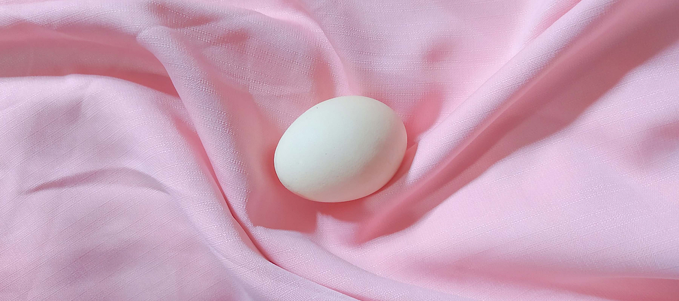 White oval object resting on soft pink fabric with gentle folds and shadows.