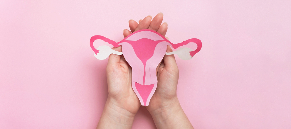 Hands holding a pink paper cutout of a uterus against a pastel pink background.