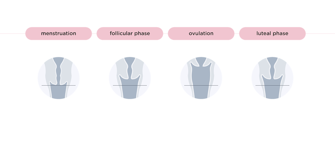 Diagram showing the four menstrual cycle phases: menstruation, follicular, ovulation, and luteal.