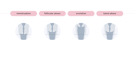 Diagram showing the four menstrual cycle phases: menstruation, follicular, ovulation, and luteal.