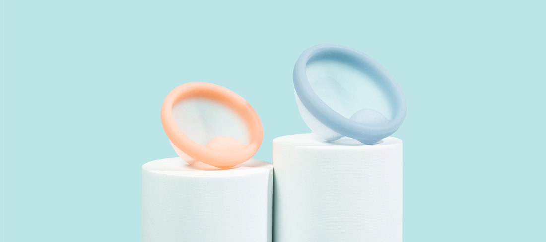 Two reusable menstrual discs displayed on white stands against a light blue background.