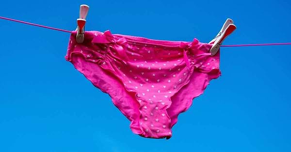 Women's underwear hanging.