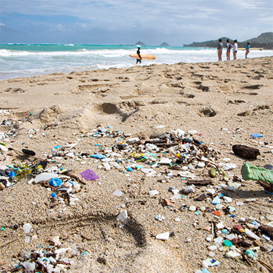 trash in the sand on the beach