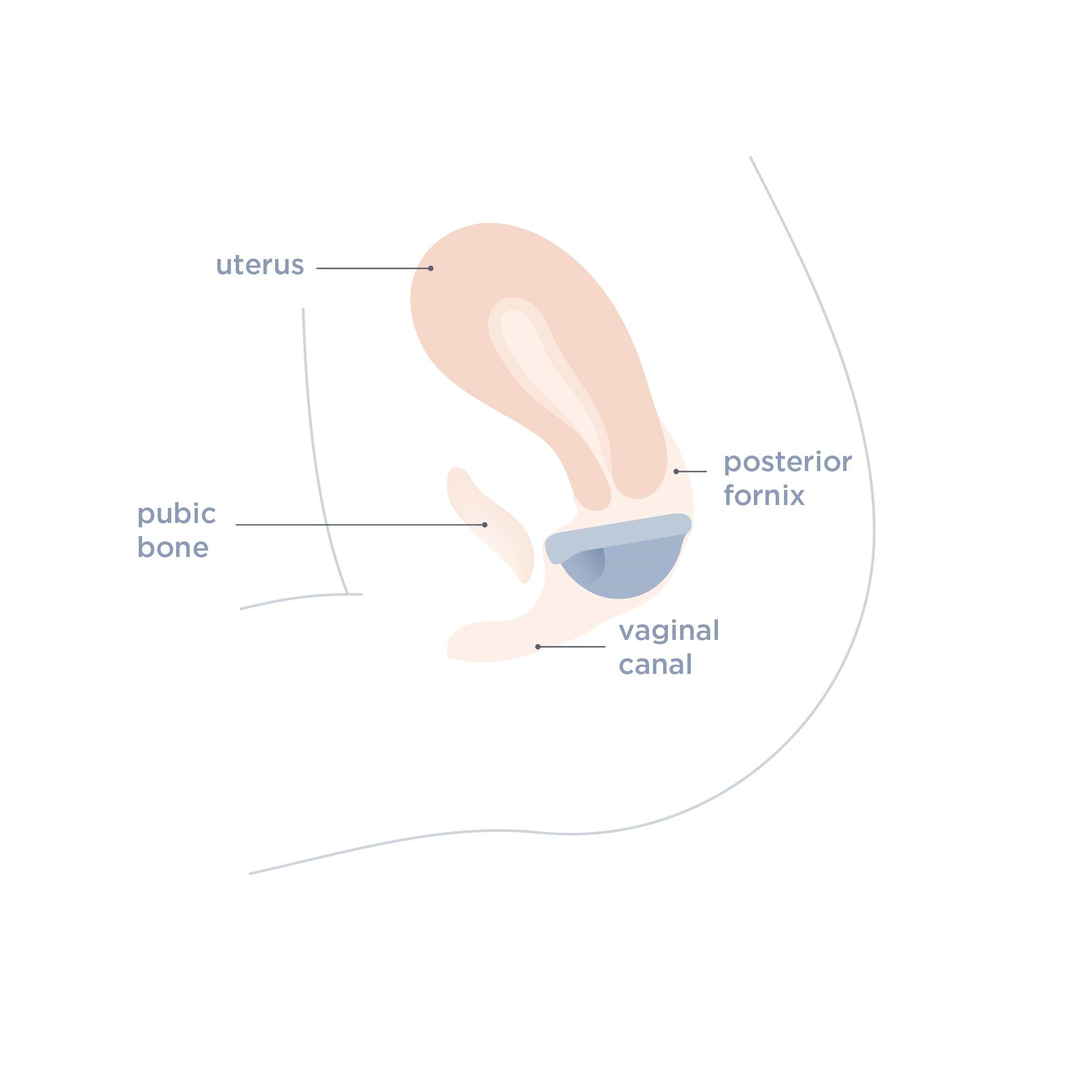 diagram of how to use saalt disc - one