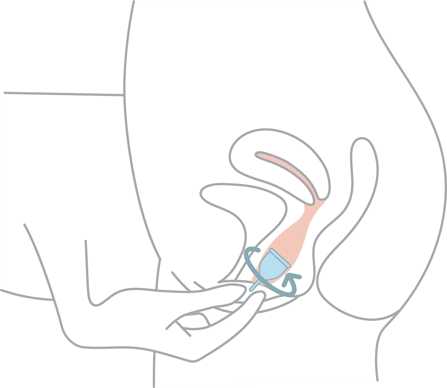 Insert Three - Instructions