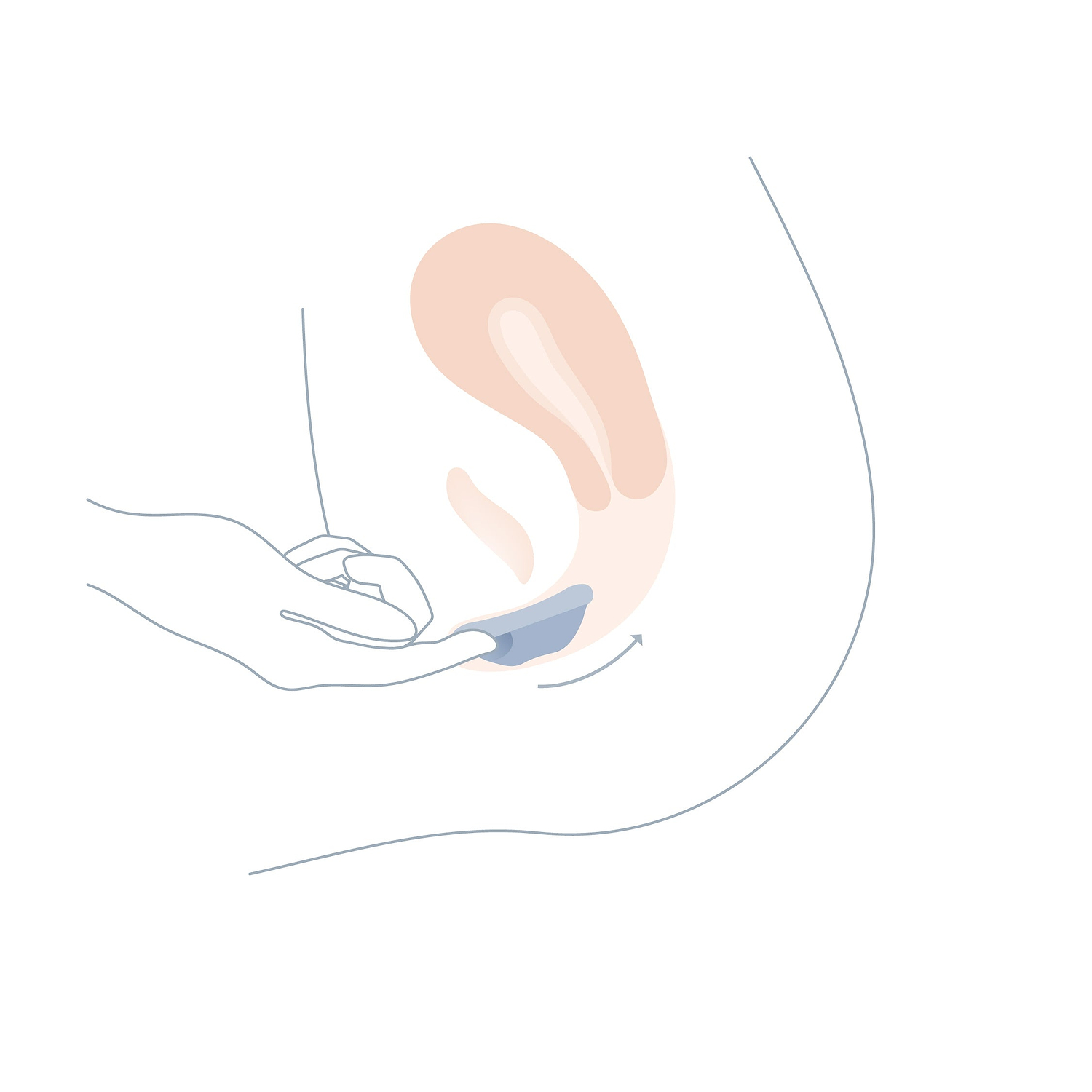 inserting of saalt disc diagram