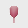 Video player of rotating saalt cup