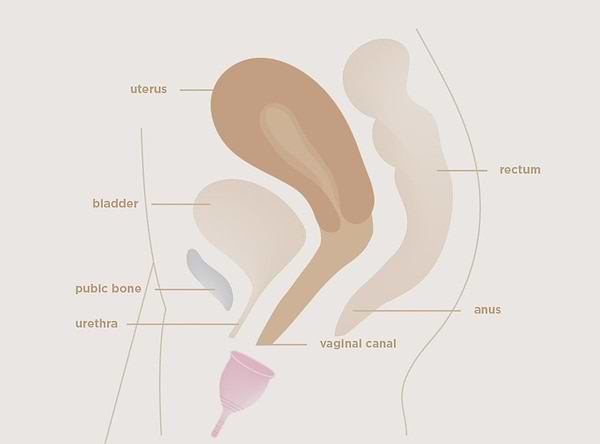 Saalt Soft Duo Pack
