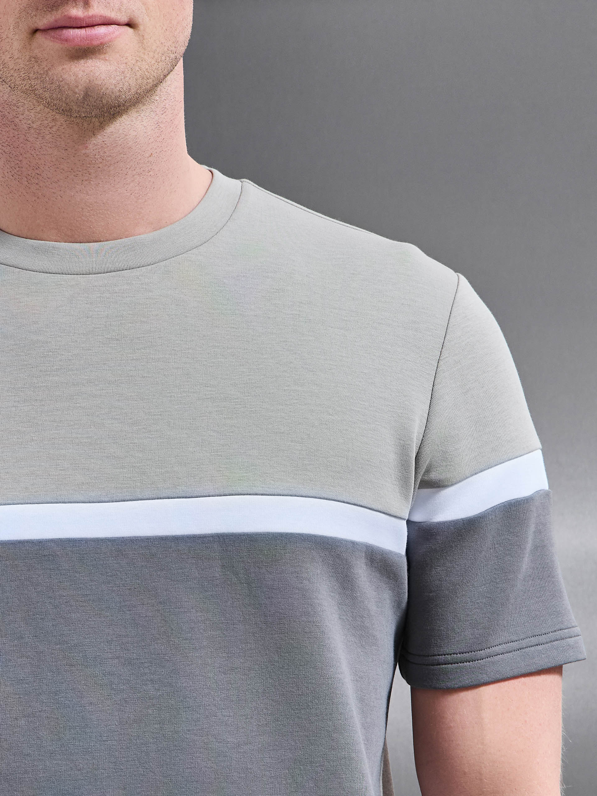 Mens Everyday Luxe Colour Block T-Shirt in Stone