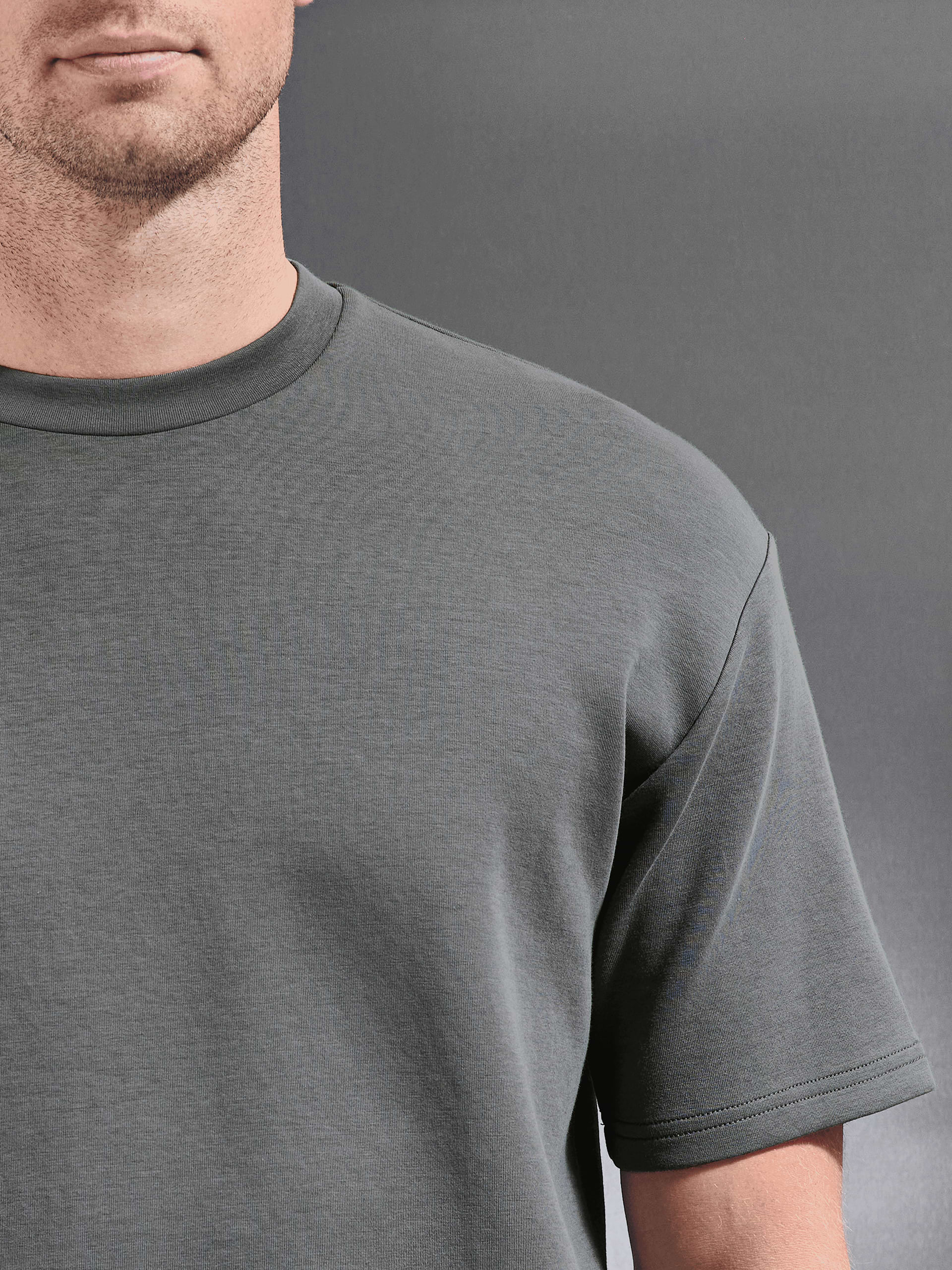 Everyday Luxe Relaxed T-Shirt in Grey