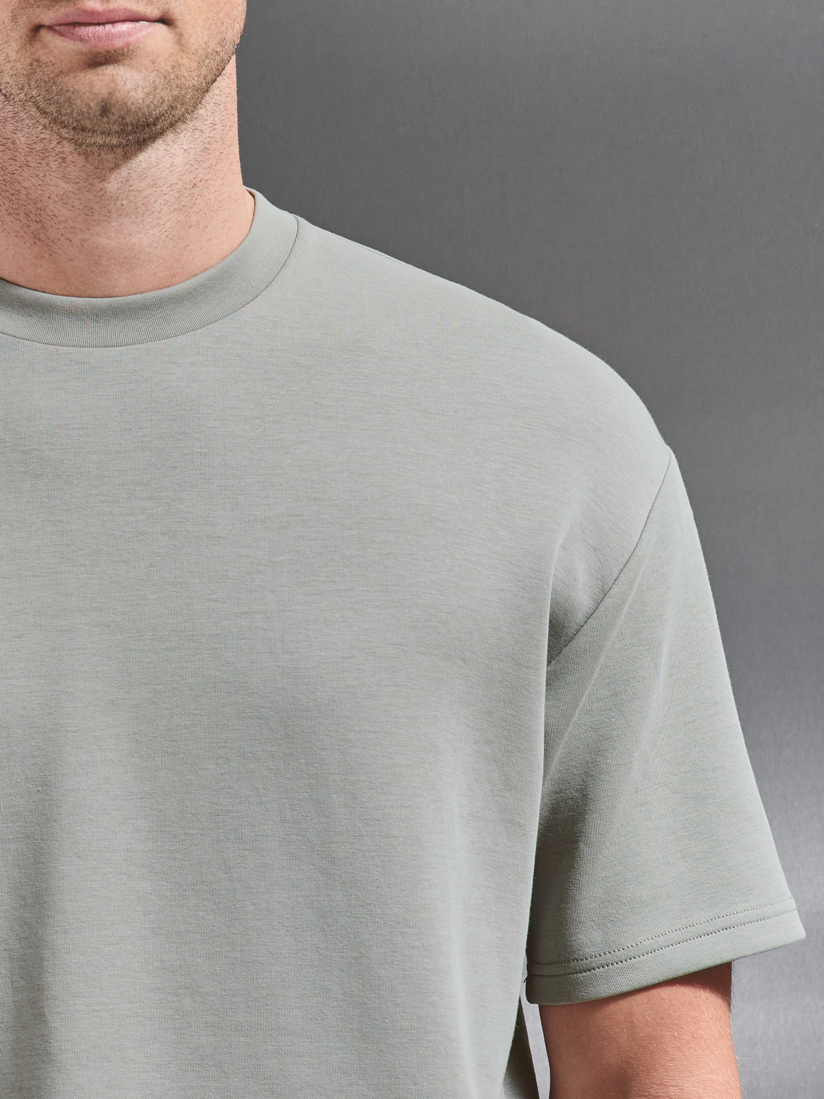 Everyday Luxe Relaxed T-Shirt in Stone