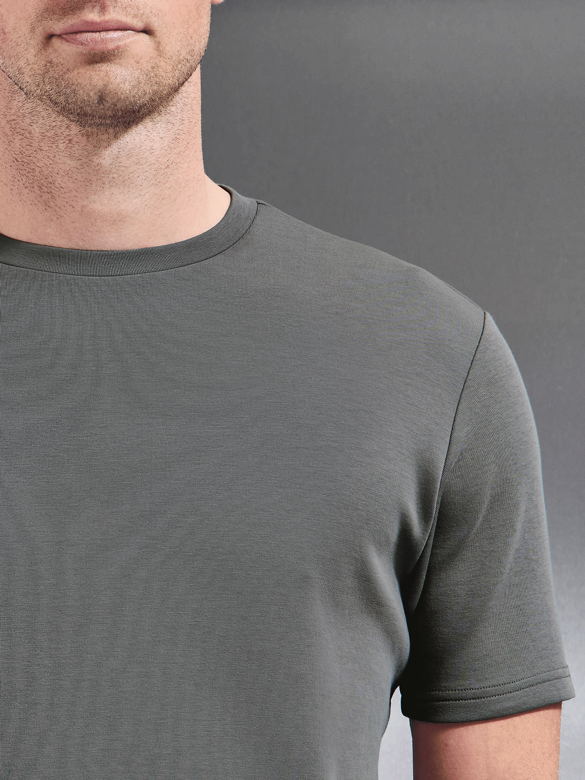 Mens Everyday Luxe T-Shirt in Grey