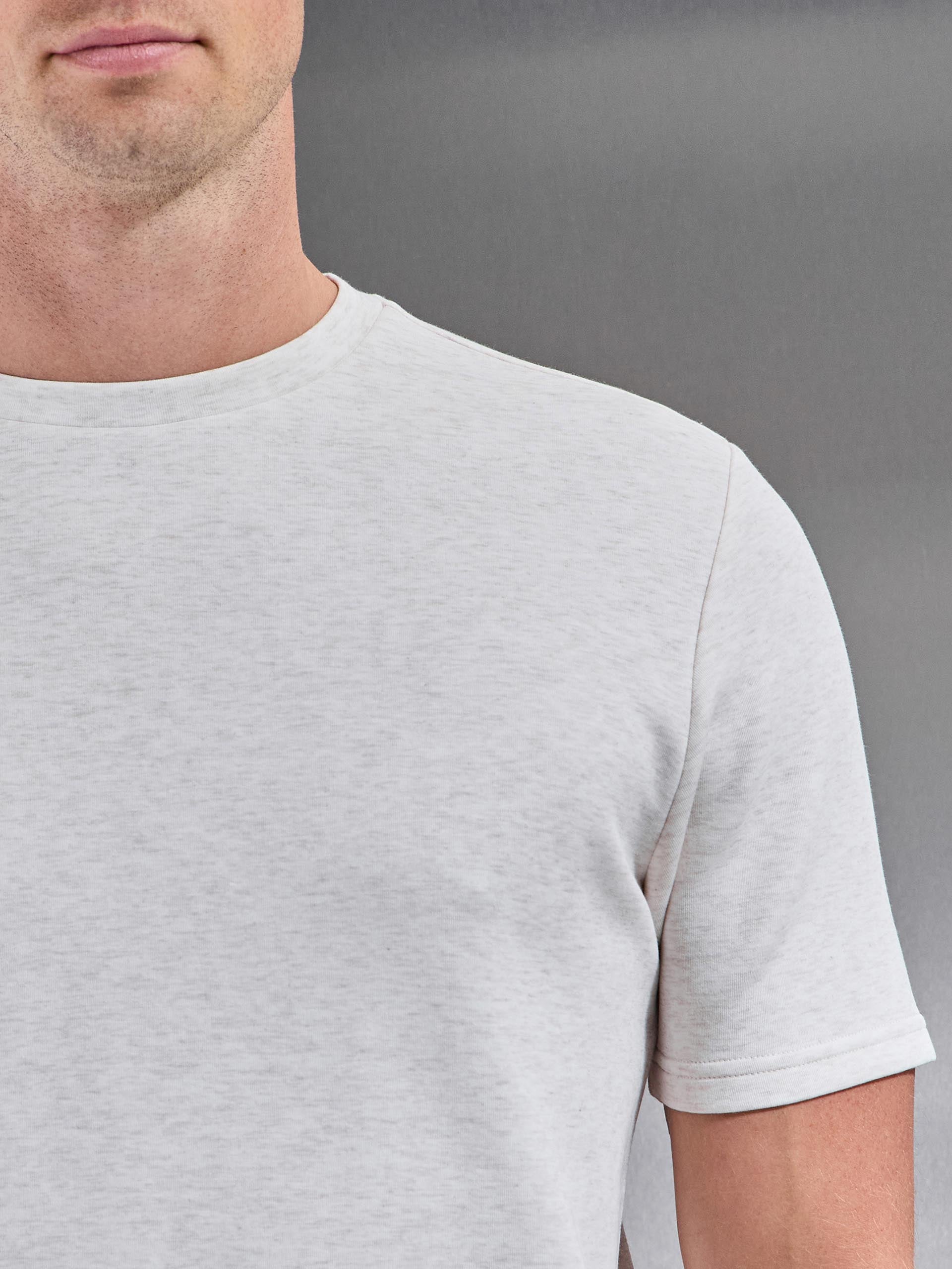 Mens Everyday Luxe T-Shirt in Oatmeal