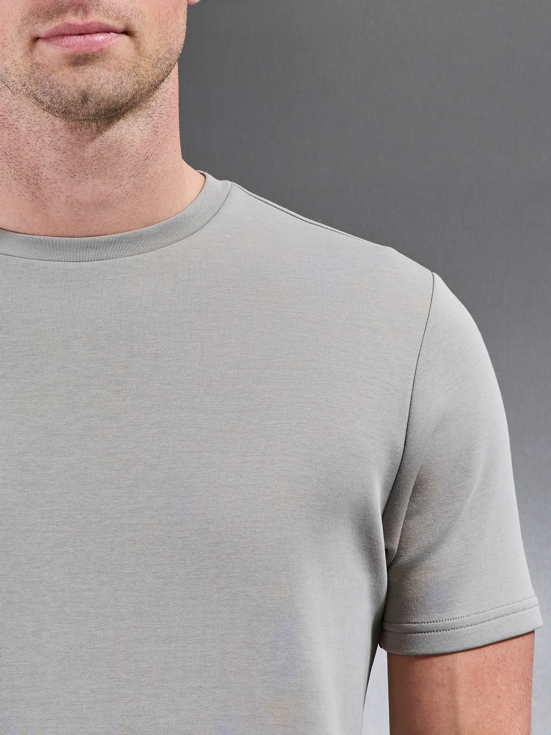 Mens Everyday Luxe T-Shirt in Stone