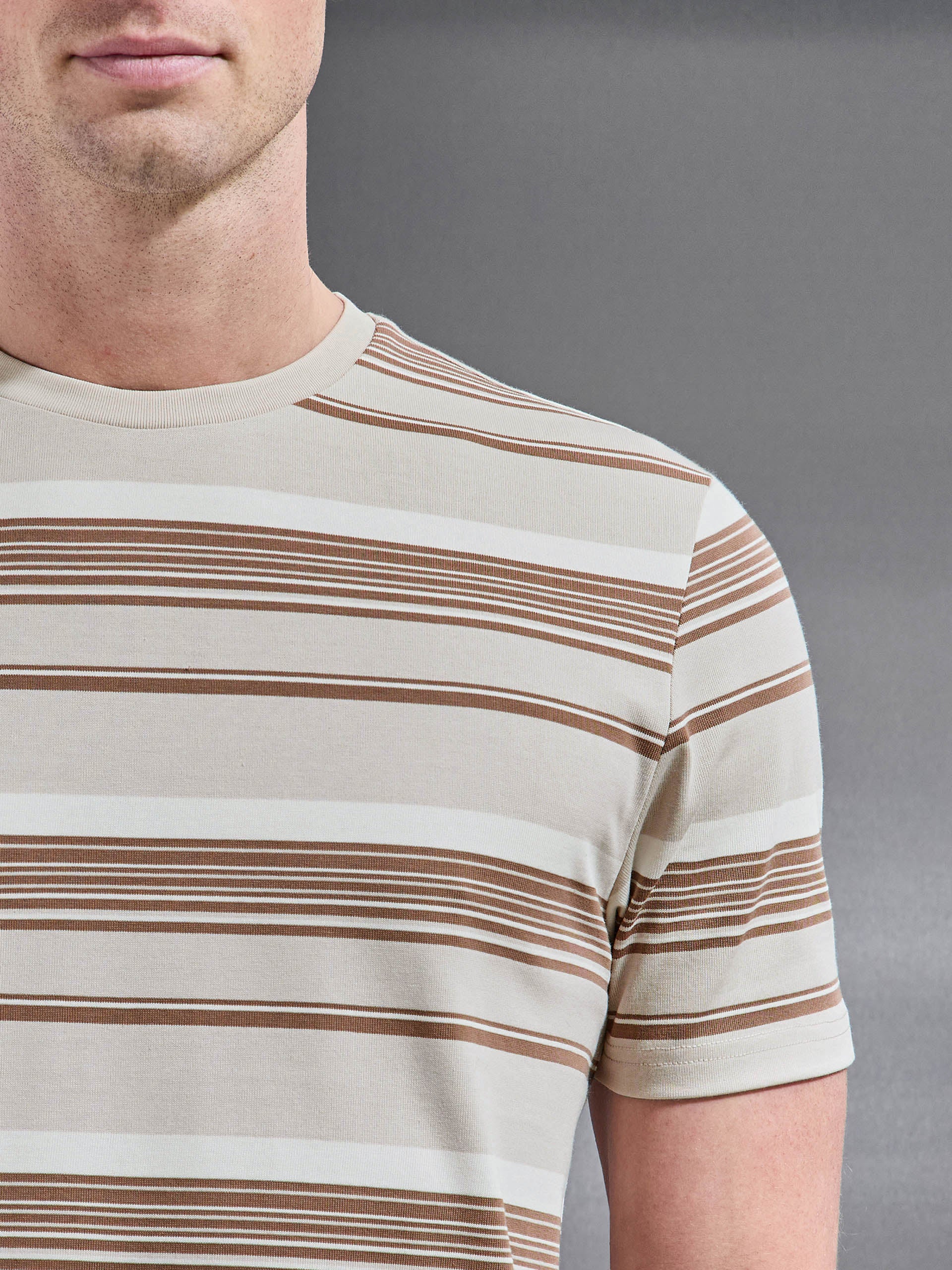 Mens Nova Stripe T-Shirt in Stone