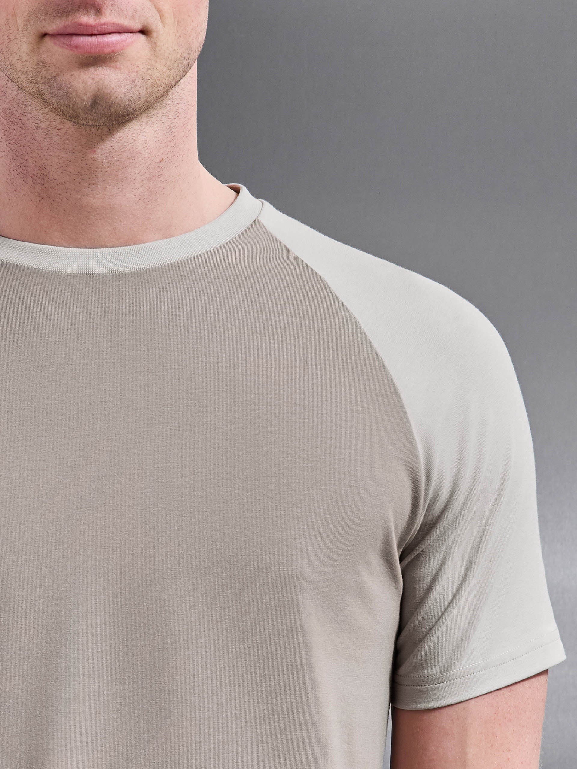 Mens Raglan Slim Fit Stretch Cotton T-Shirt in Taupe Stone