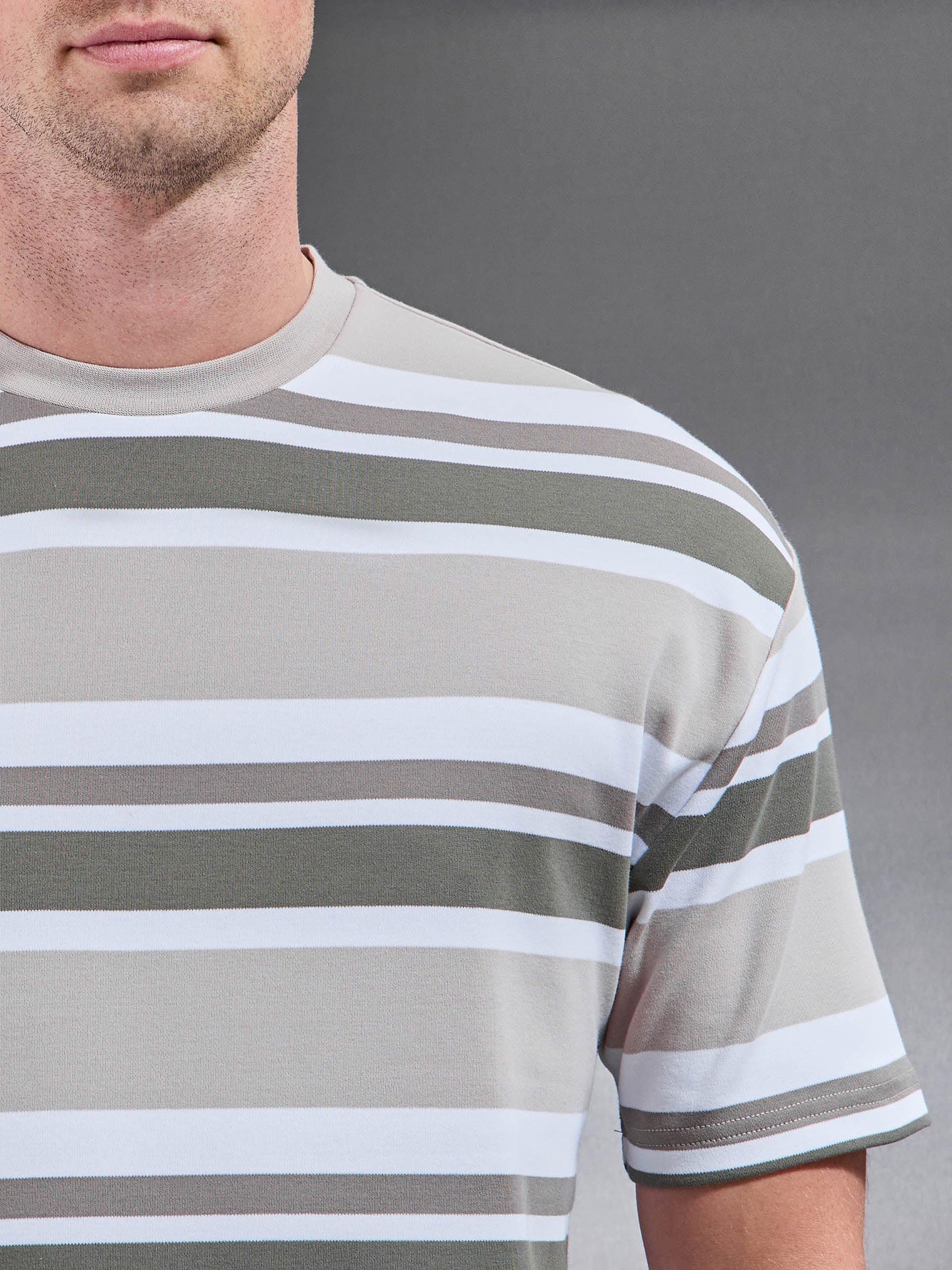 Mens Relaxed Fit Stripe T-Shirt in Stone
