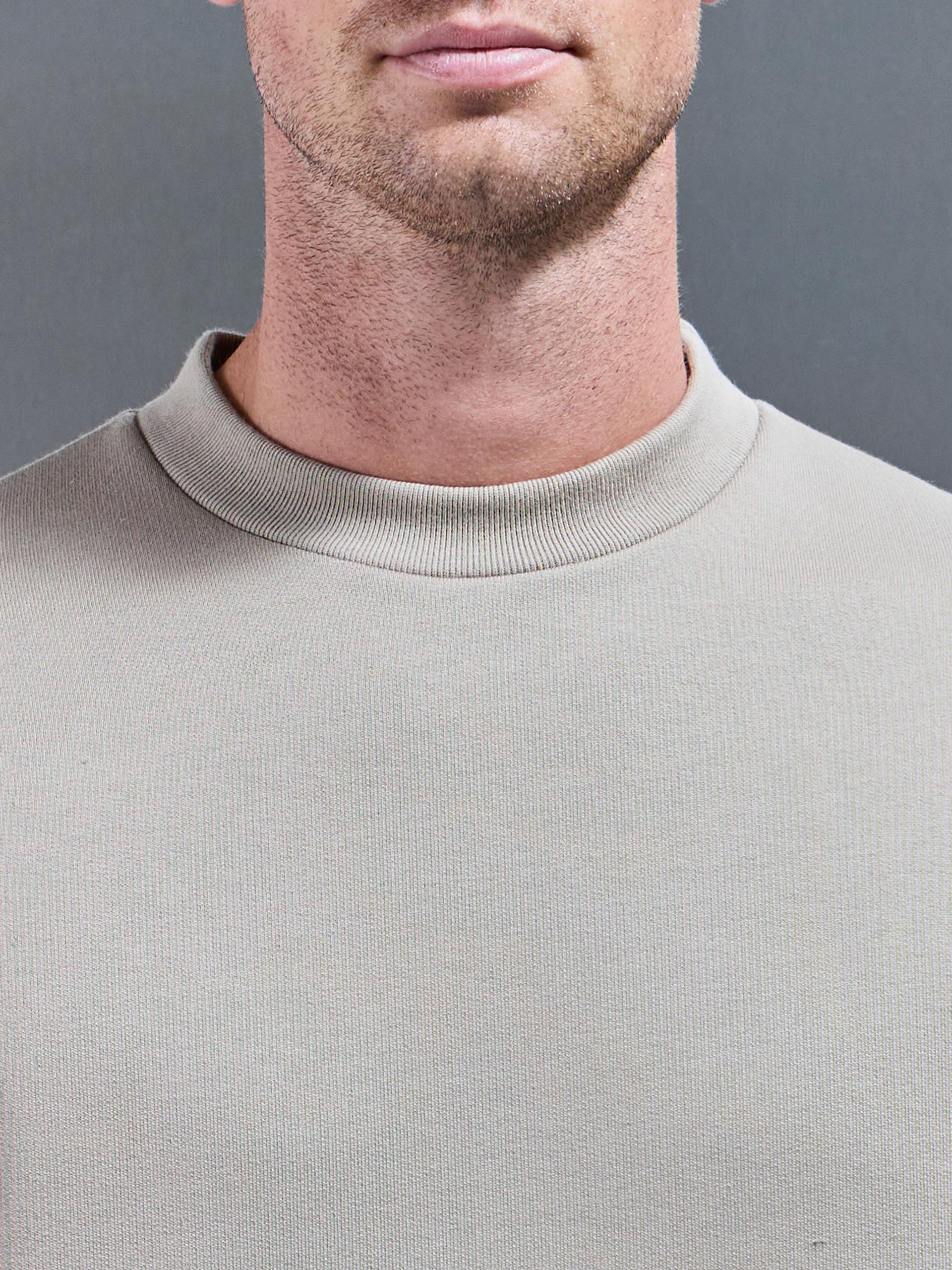 Mens Relaxed Fit Sweatshirt in Stone