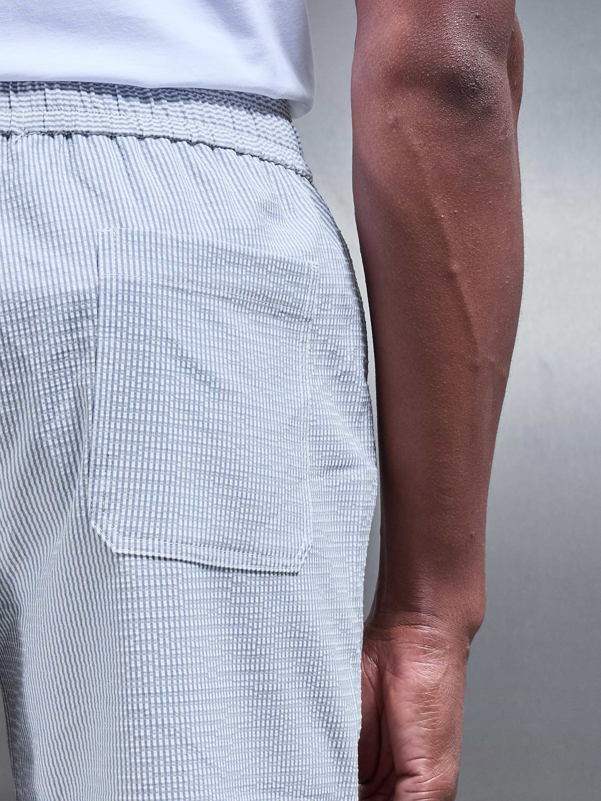 Seersucker Stripe Textured Short in Blue