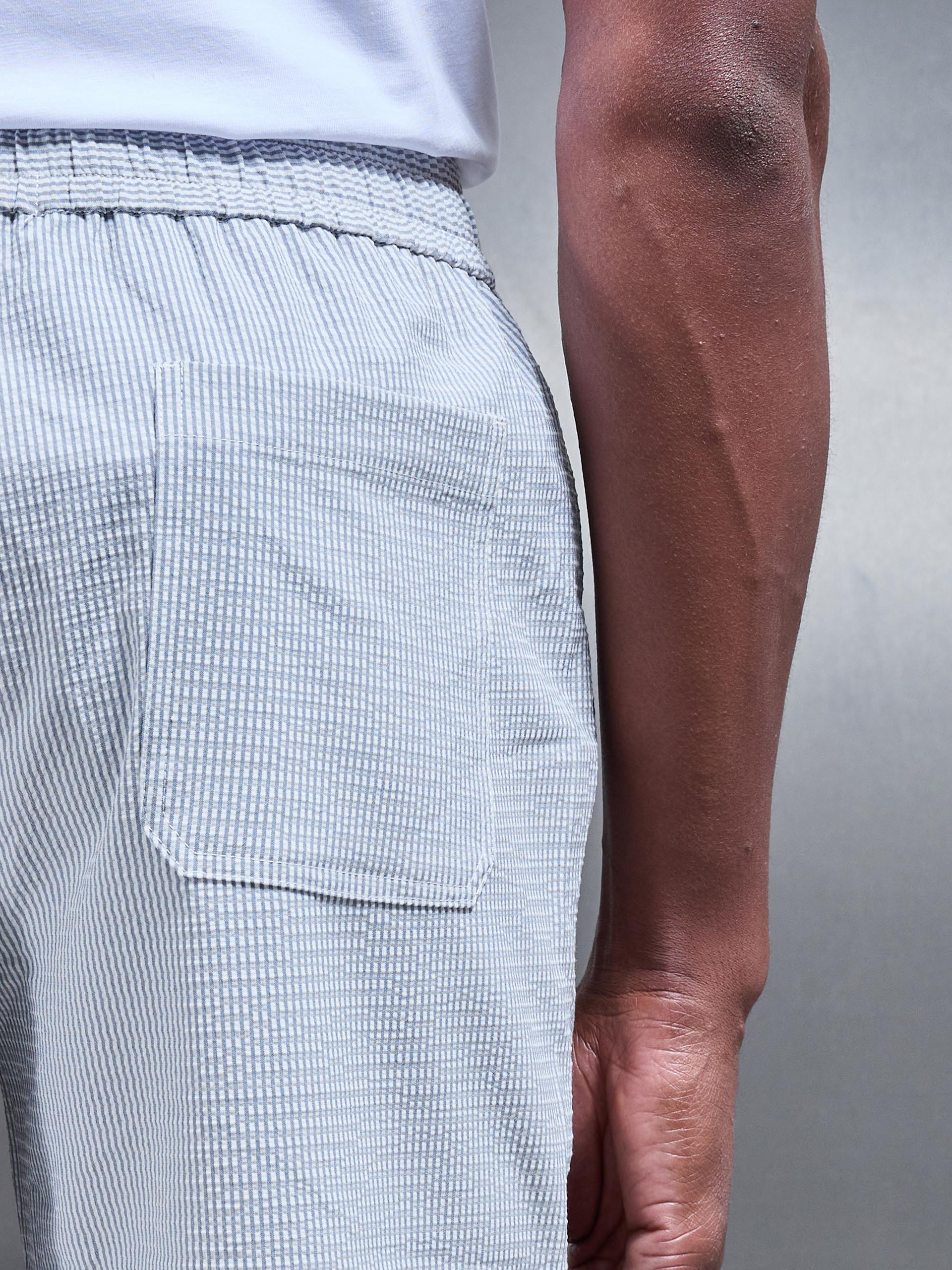 Seersucker Stripe Textured Short in Blue