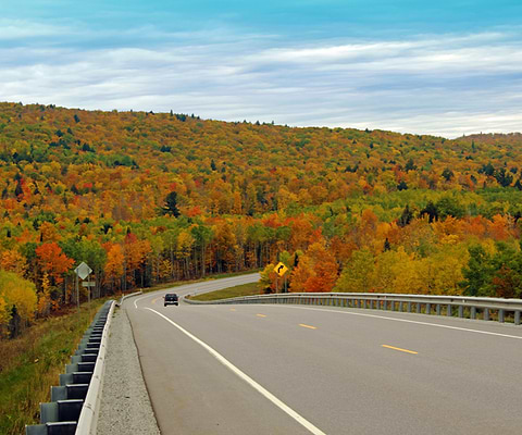 El mejor follaje de otoño: US-31 en Petoskey, Michigan