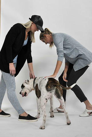 Leanda Cave y Aimee Nielsen en Anatomie Studio