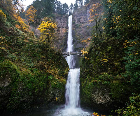 Un lugar para visitar en otoño: la garganta del río Columbia, Oregón