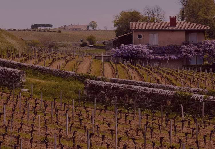 Burgundy in Bordeaux